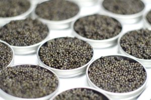 oeufs brouilles au caviar