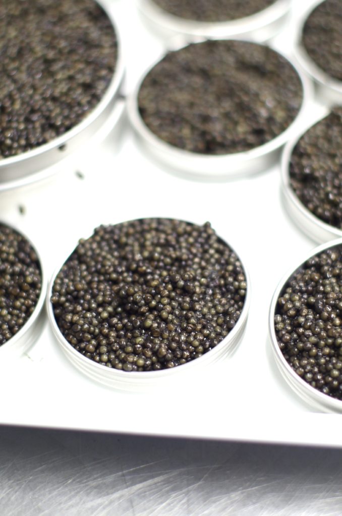 caviar-neuvic-pourdebon