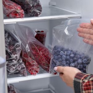 Quels aliments congeler ? Le guide pratique pour bien conserver vos produits