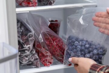 Quels aliments congeler ? Le guide pratique pour bien conserver vos produits
