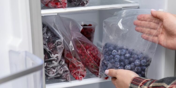 Quels aliments congeler ? Le guide pratique pour bien conserver vos produits