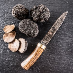 Comment reconnaître les truffes ?