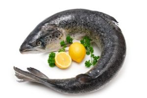 le saumon est-il dangereux pourdebon.com