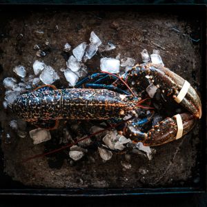 Comment cuisiner du homard breton ?