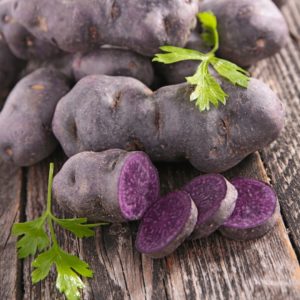 pommes de terre violet Queen