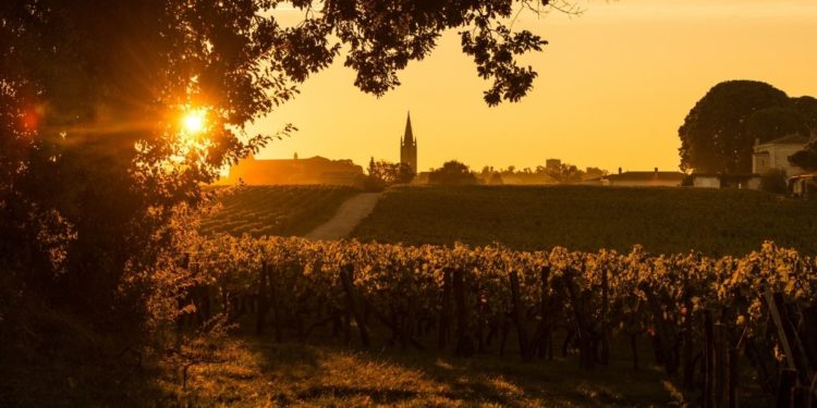 Tout savoir sur les vins de Bordeaux !