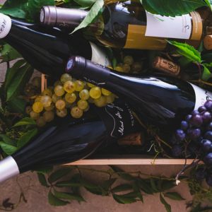 La carte des vins de Bordeaux