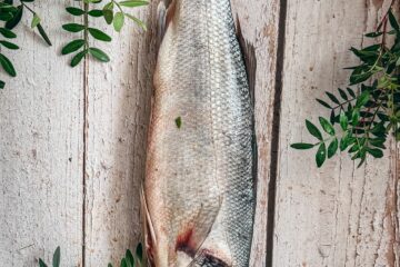 Tout savoir sur le bar sauvage