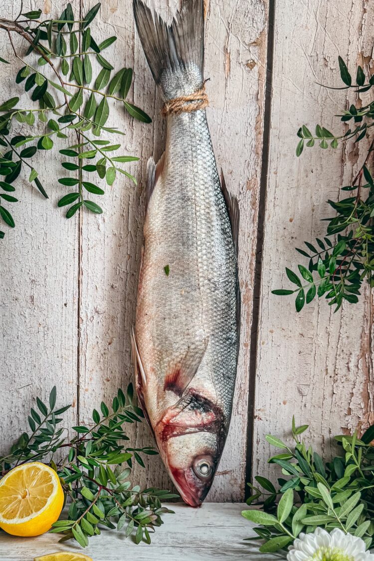 Tout savoir sur le bar sauvage