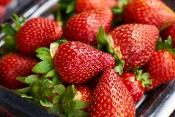 Comment conserver des fraises