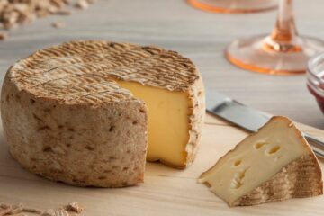 Un article complet pour tout savoir sur la tomme