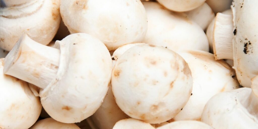 Fautil éplucher les champignons de Paris