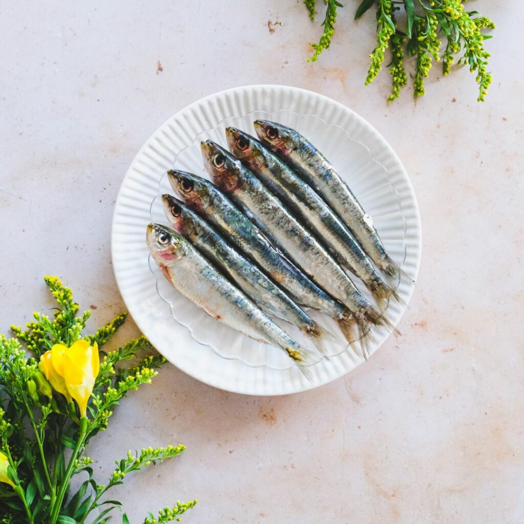 Pâtes aux sardines : la recette