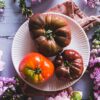 La saison de la tomate est ouverte !