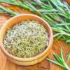 Herbes aromatiques : 5 astuces pour les déshydrater !