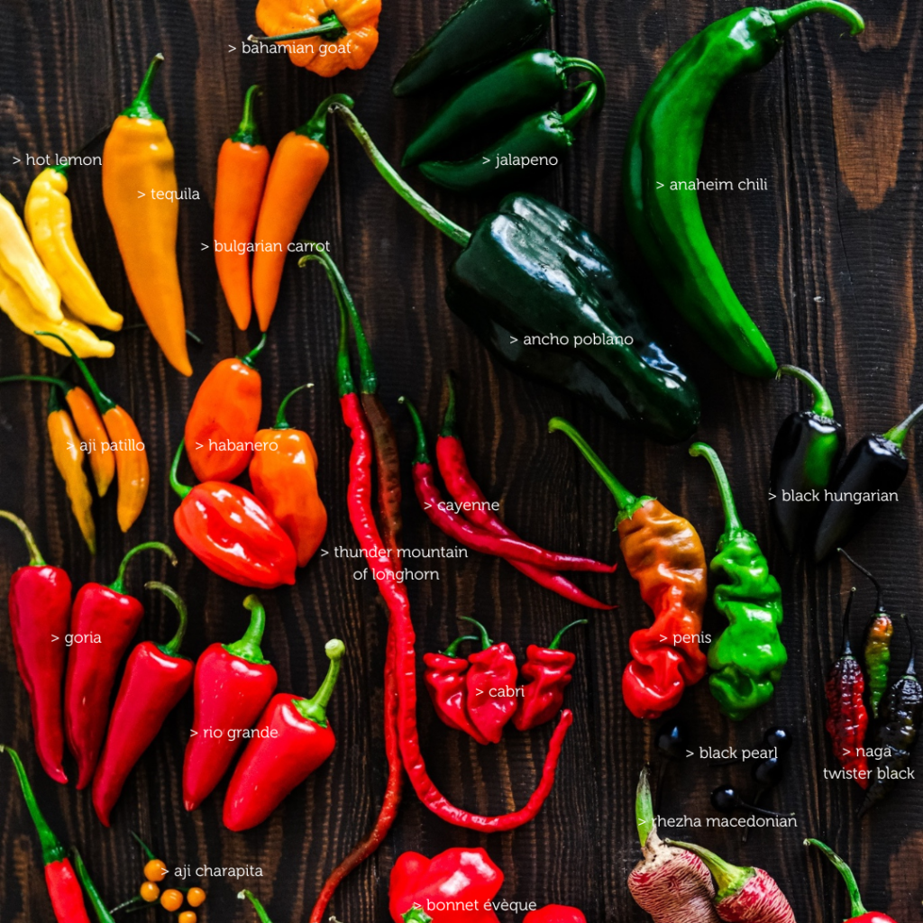 Tout Savoir Sur Le Piment Blog De Pourdebon