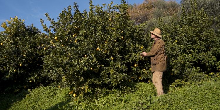 Agrumiculteur, un métier qui a du pep's