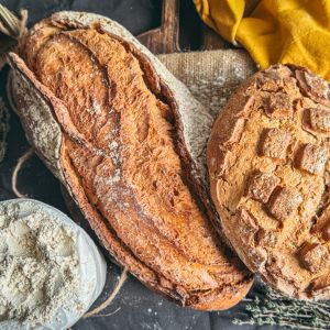 Paysan-boulanger, un métier où il faut être au four et au moulin