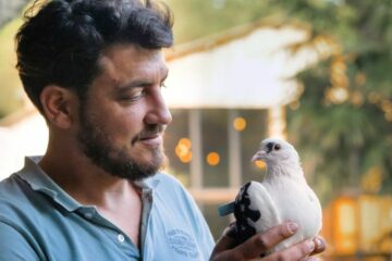 Colombiculteur, un métier qui donne des ailes