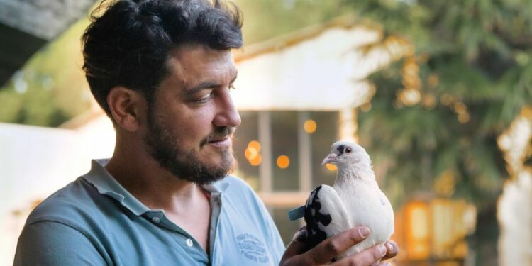 Colombiculteur, un métier qui donne des ailes