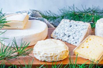 Tout savoir sur les fromages d'Auvergne AOP