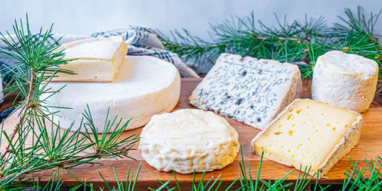 Tout savoir sur les fromages d'Auvergne AOP