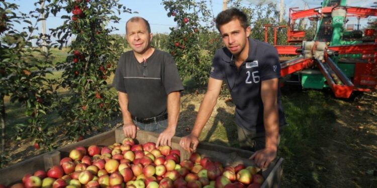 Pomiculteur, un métier qui allie patience et maturité