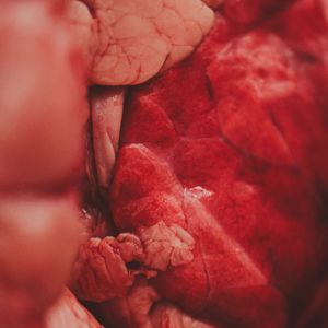 Comment préparer et cuisiner les poumons ?