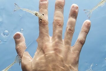 Pénéiculteur, un métier qui nourrit la mer et les hommes