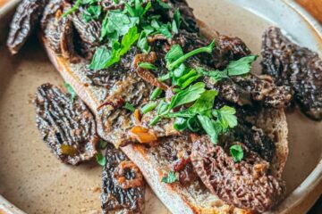 Croûte aux morilles