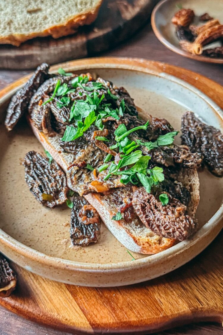 Croûte aux morilles