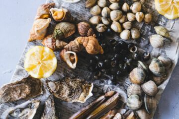 Comment bien nettoyer ses coquillages en cuisine ?
