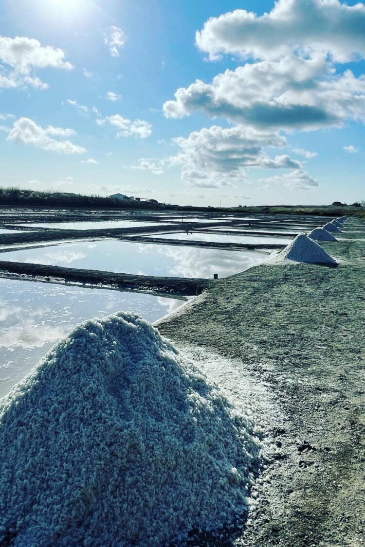 Sel et Fleur de Sel de l'île de Ré IGP