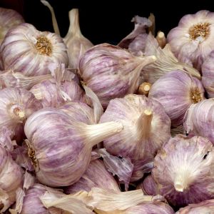 L'Ail Violet de Cadours AOP
