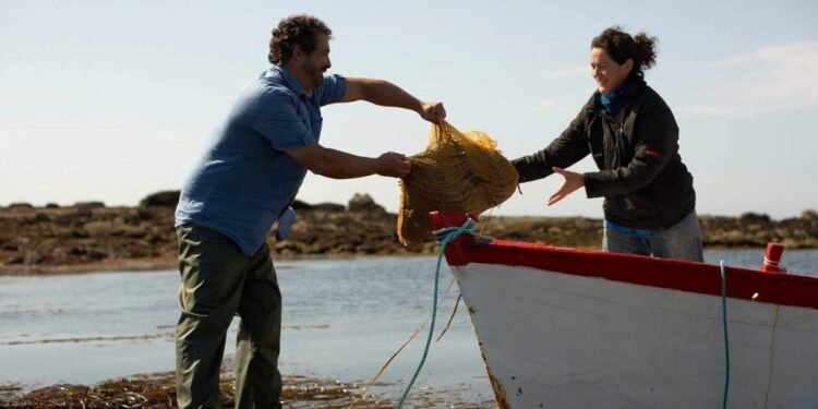 Algoculteur, un métier les mains dans l'eau salée
