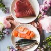 Les espèces de poissons au printemps