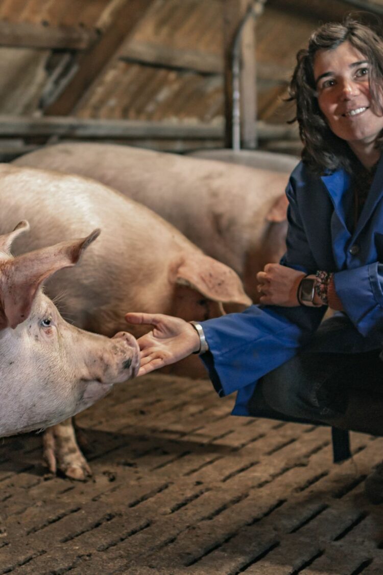 Eleveur porcin, où la vie en rose