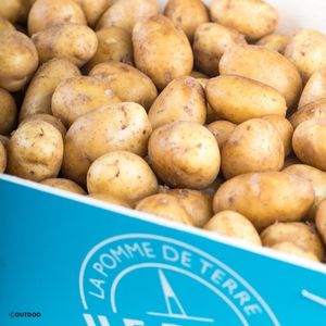 Pomme de terre de l'Ile de Ré AOP