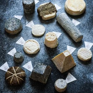 Les fromages de chèvre AOP : les trésors du terroir