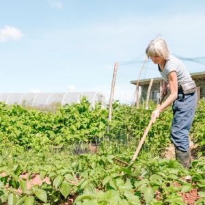 Maraîcher, un métier connecté avec la nature