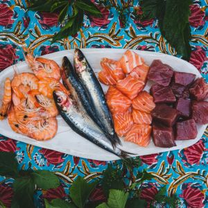Les espèces de poissons en été