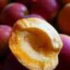 Abricots des Baronnies IGP