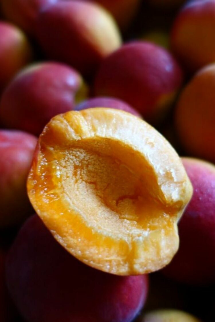 Abricots des Baronnies IGP