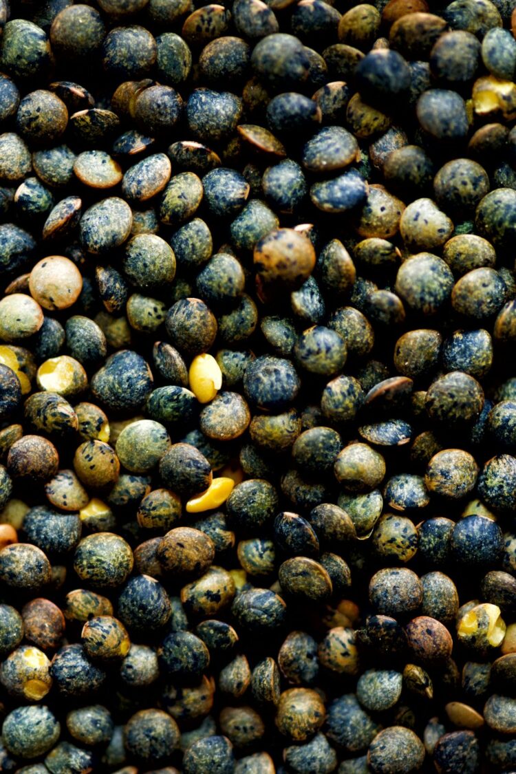 Lentilles vertes du Berry IGP