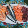Les espèces de poissons en été