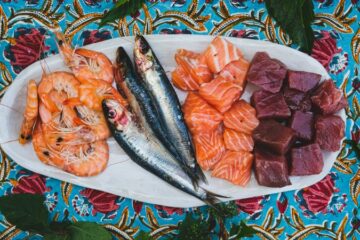 Les espèces de poissons en été