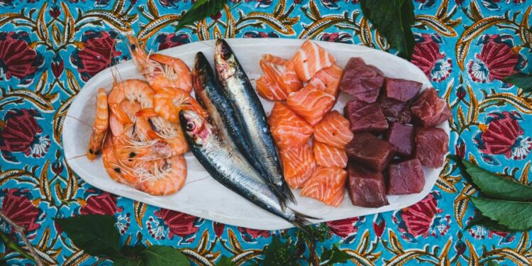 Les espèces de poissons en été