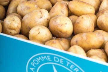 Pomme de terre de l'Ile de Ré AOP