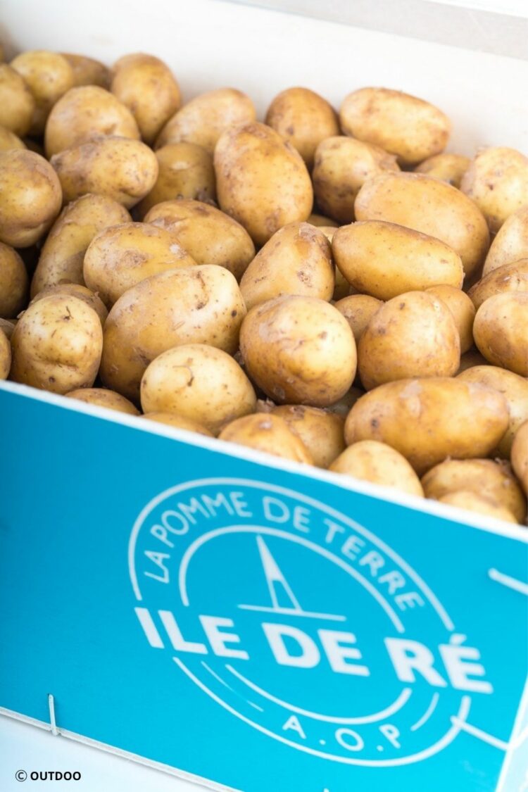 Pomme de terre de l'Ile de Ré AOP