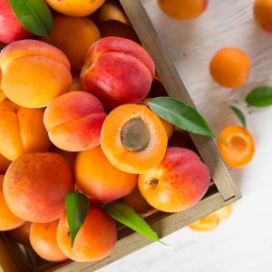 Abricots rouges du Roussillon AOP